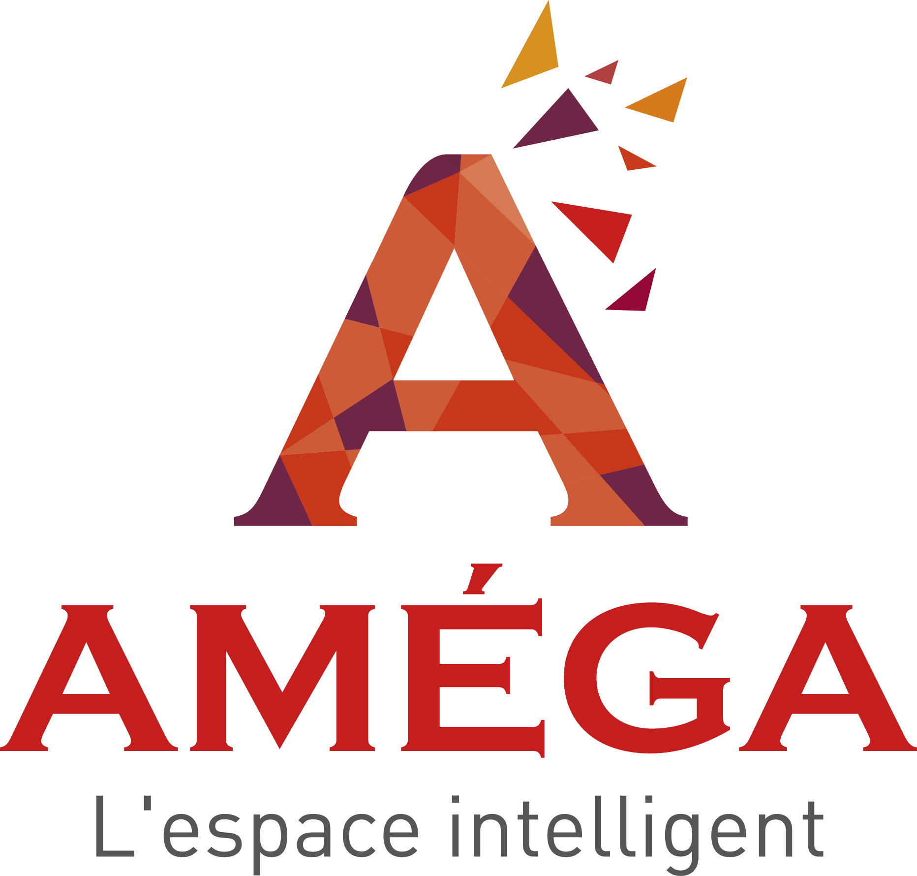 Logo AMEGA Pantone